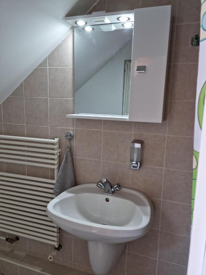 Belvarosi Pihenohaz Apartment Bekescsaba